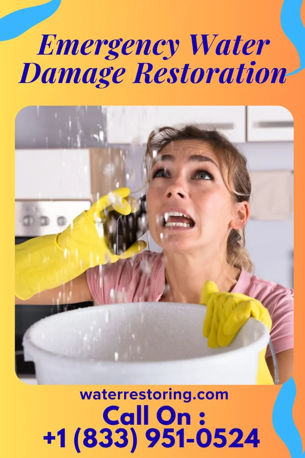 Emergency Water Damage Restoration in Berwyn Heights, MD