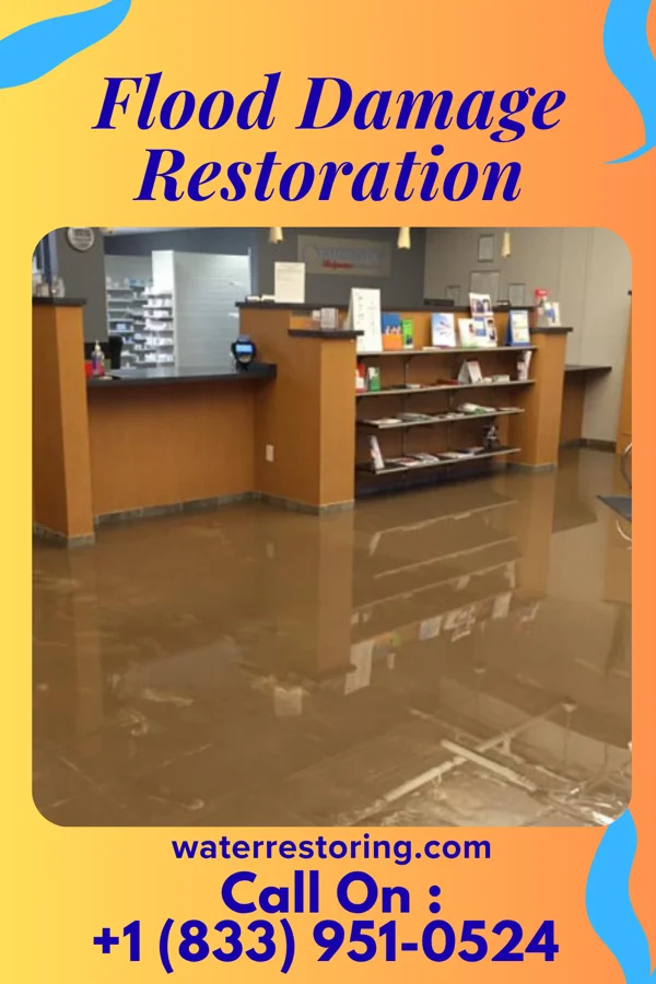Flood Damage Restoration in Berwyn Heights, MD