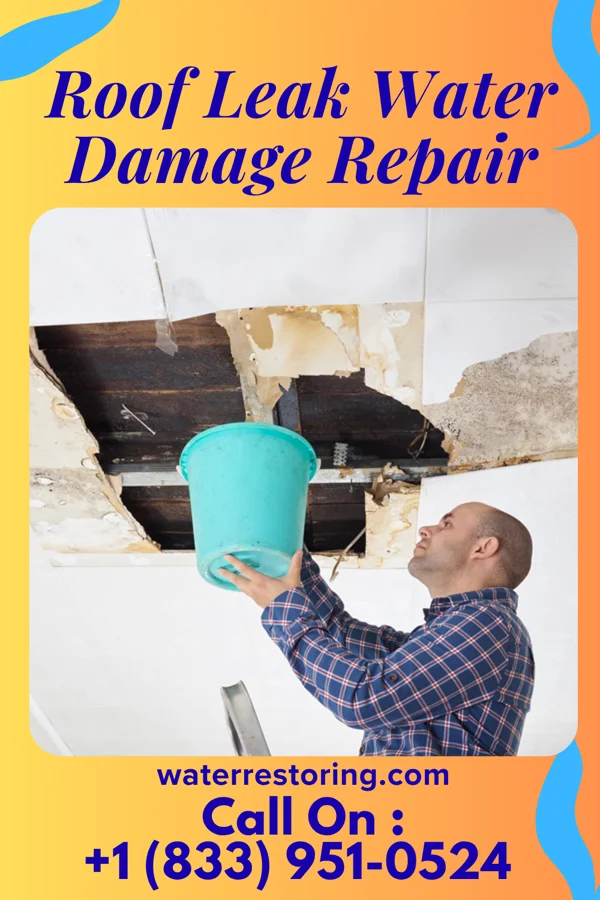 Roof Leak Water Damage Repair in Berwyn Heights, MD