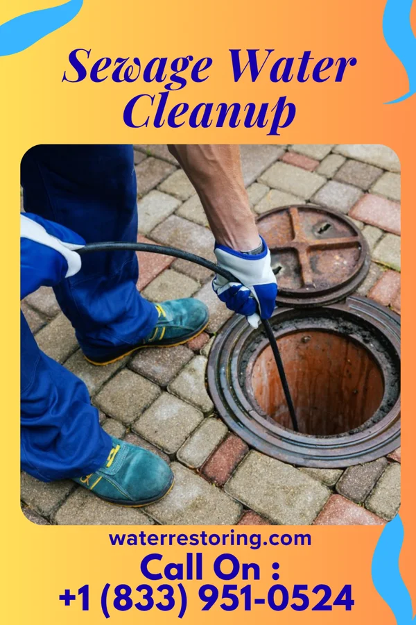 Sewage Water Cleanup in Berwyn Heights, MD
