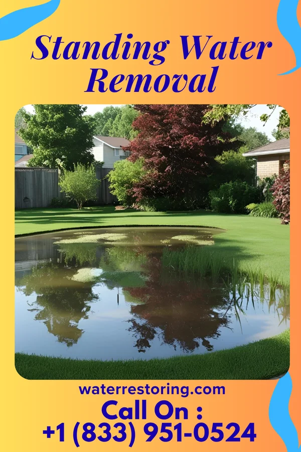 Standing Water Removal in Berwyn Heights, MD
